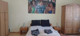 Zorica Apartman - 4
