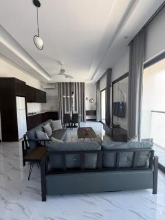 zanzi properties 1 - 4