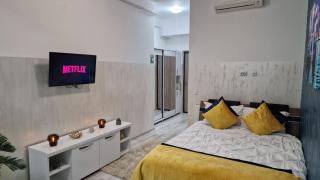 Deluxe Central Apartment near Palas Mall Iasi - 3