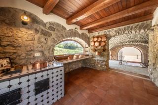Dimora Sante - Villa storica immersa negli ulivi - 7