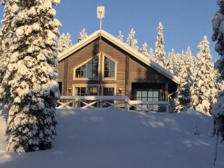 Ihtinginrinne - Peaceful 2BR Log Villa by the Lake - 5