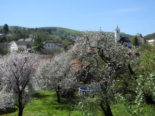 Hotel Rosner - 8
