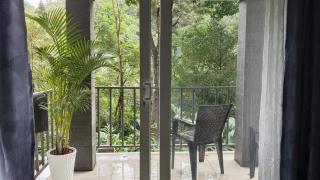 Elysium, Homestay in Munnar - 4