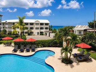 Rum Fun Sun at Lantana 25 Barbados - 9