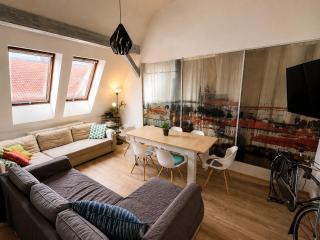 Roof Apartments and Parking Assistance - Prague - 9