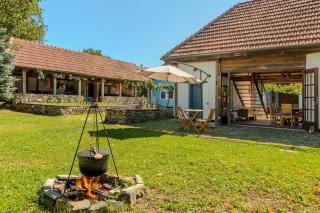 Casa Veche Leheceni in Apuseni - 8