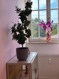 ANER 9 Elegantes Apartment für bis zu 8 Personen mit Infrarotsauna und großzügiger, offener Loggia - 6