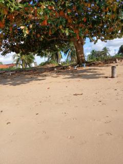 Casa de praia em Barra do Gil - 3