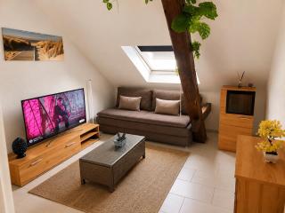 Skylight46 La Terrasse St Louis - 9
