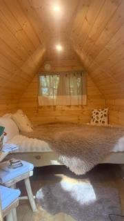 Cabane Mushroom - 5