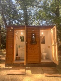 Cabane Mushroom - 6