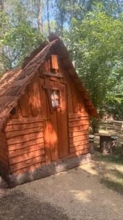 Cabane Mushroom - 8