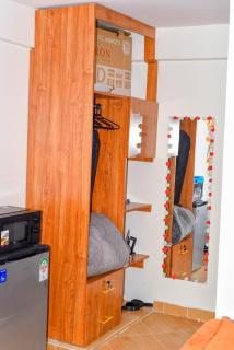 Modern Studio Apartment in Embu - 4