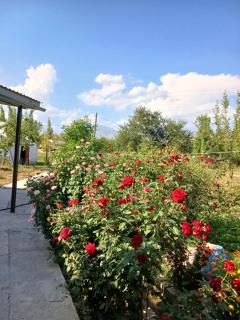 ASAN Guest House - 3