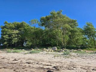 5 star holiday home in Nordborg - 2