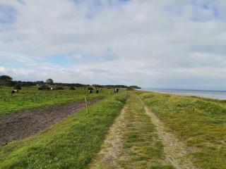 5 star holiday home in Nordborg - 1