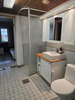 Armaankorsu - house with sauna - 4