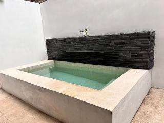 Suite with private plunge pool behind malecón - 3