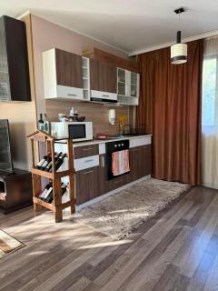 Guest house SAVATIN - 4