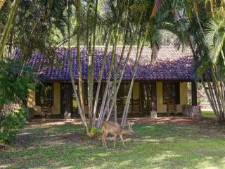 Hacienda La Pacífica Eco-Lodge - 3