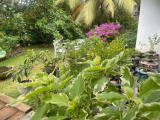 Green Sapphire Vacation Home Anuradhapura - 1