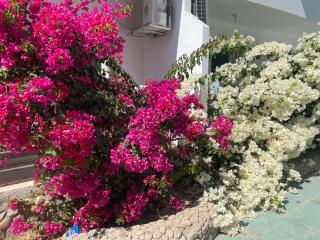 Captain beach Resort - 8