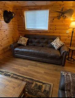 Secluded Cabin Villa with Hot Tub Pond & Hiking - 3