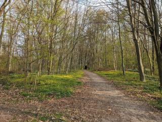 5 star holiday home in Faaborg - 9