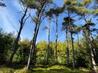 5 star holiday home in Fjerritslev - 4