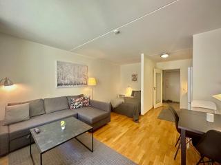 Modern Apartment in Oslo with Balcony & Parking - 8