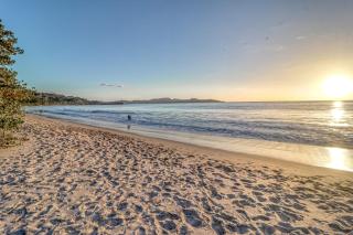 Walk to Ocean! Flamingo Beach Condo w/ Pool Access - 6
