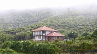 Nest in the Valley - 7