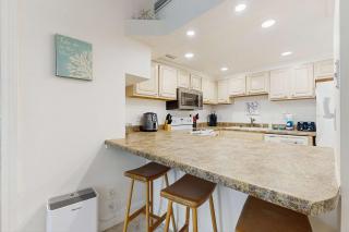 Sand Dollar E201 - 2