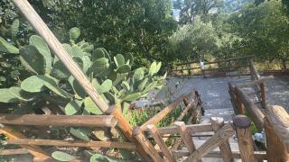 Case vacanze Dell Pollino - 2