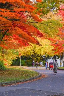 Villa Miyabi Sapporo -雅庵- - Sapporo - 8