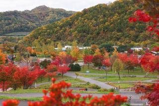 Villa Miyabi Sapporo -雅庵- - Sapporo - 5