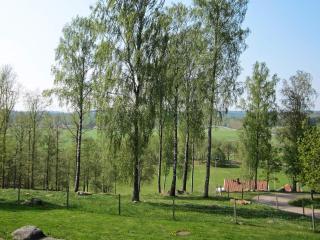 4 person holiday home in Romelanda - 7
