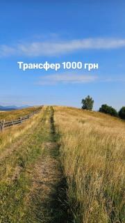 Роза вітрів Намбер ван - 6