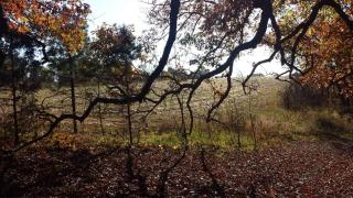 Blanchard Caverns Cabin & 31 Acres on Hwy 14 - 1