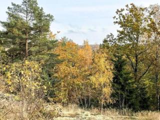 4 person holiday home in Ulfborg-By Traum - 4
