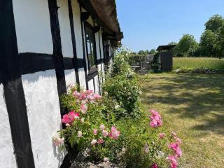 Timber Cottage with Rustic Charm - 3