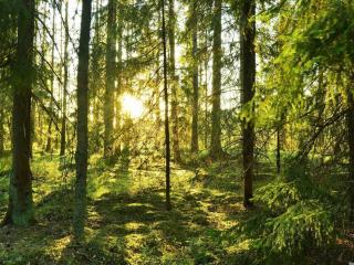 5 person holiday home in ÅSEDA - 8