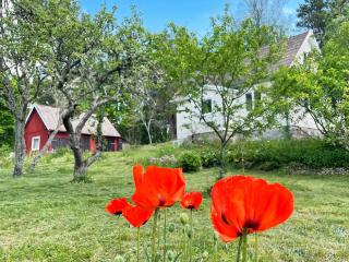 4 person holiday home in ASARUM - 4