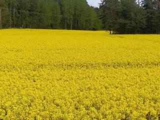 4 star holiday home in Torshälla - 1