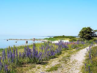 5 star holiday home in Gotlands Tofta-By Traum - 4