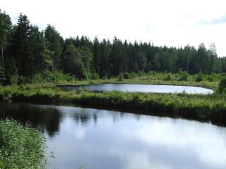 8 person holiday home in GRÄNNA-By Traum - 3