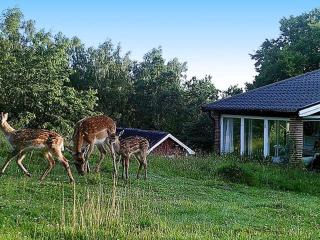 4 person holiday home in Veberöd - 4