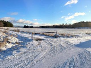 6 person holiday home in JÄRNA-By Traum - 6