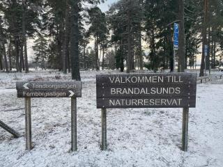 6 person holiday home in JÄRNA-By Traum - 2