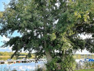 9 person holiday home in LIDKÖPING-By Traum - 3